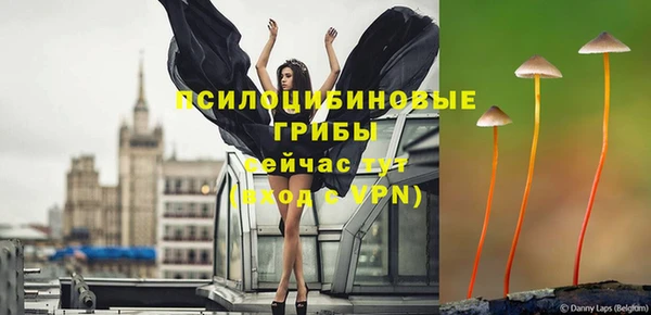 МДМА Инсар