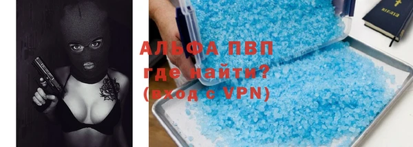 мяу мяу мука Иннополис