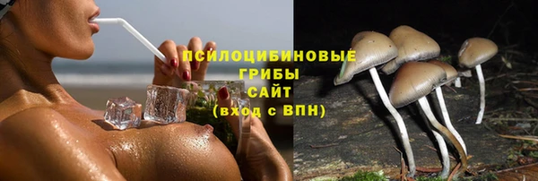 скорость Сосновоборск