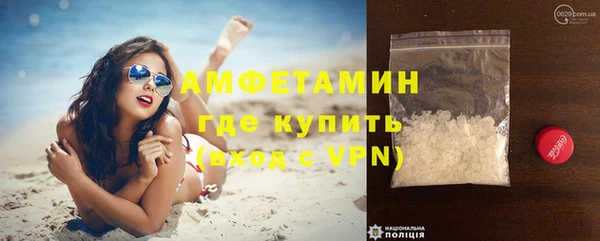 мяу мяу мука Иннополис