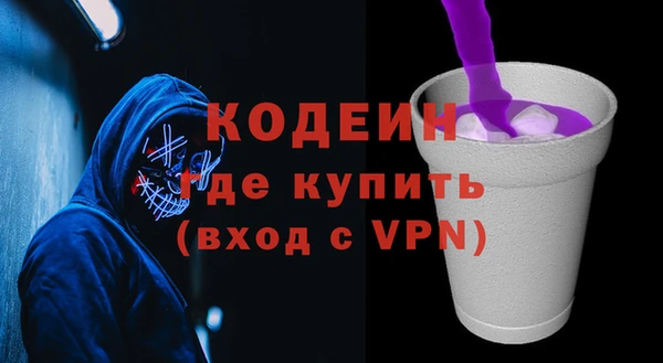 мяу мяу мука Иннополис