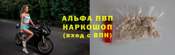 мяу мяу мука Иннополис