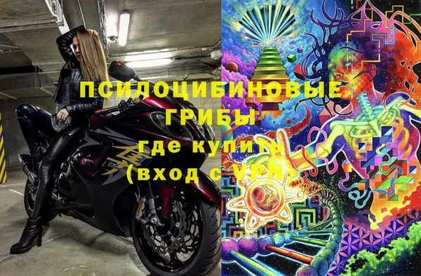мяу мяу мука Иннополис