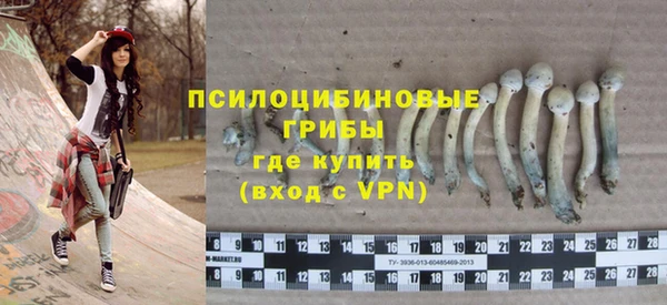 2c-b Инта