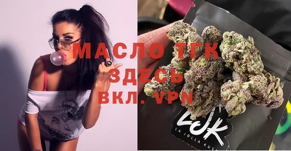 мяу мяу мука Иннополис