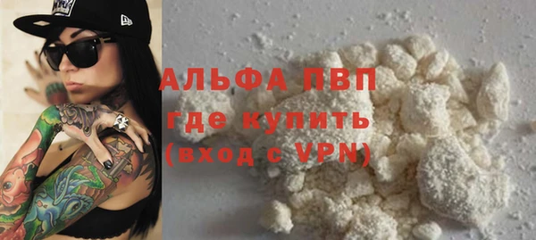 мяу мяу мука Иннополис