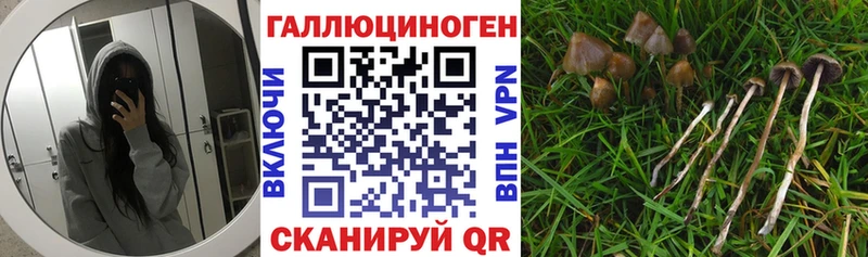 Псилоцибиновые грибы Psilocybe  Сибай 