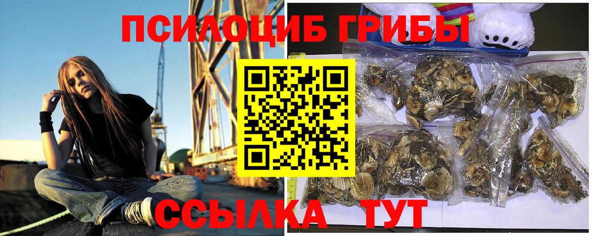 Псилоцибиновые грибы Magic Shrooms Сибай