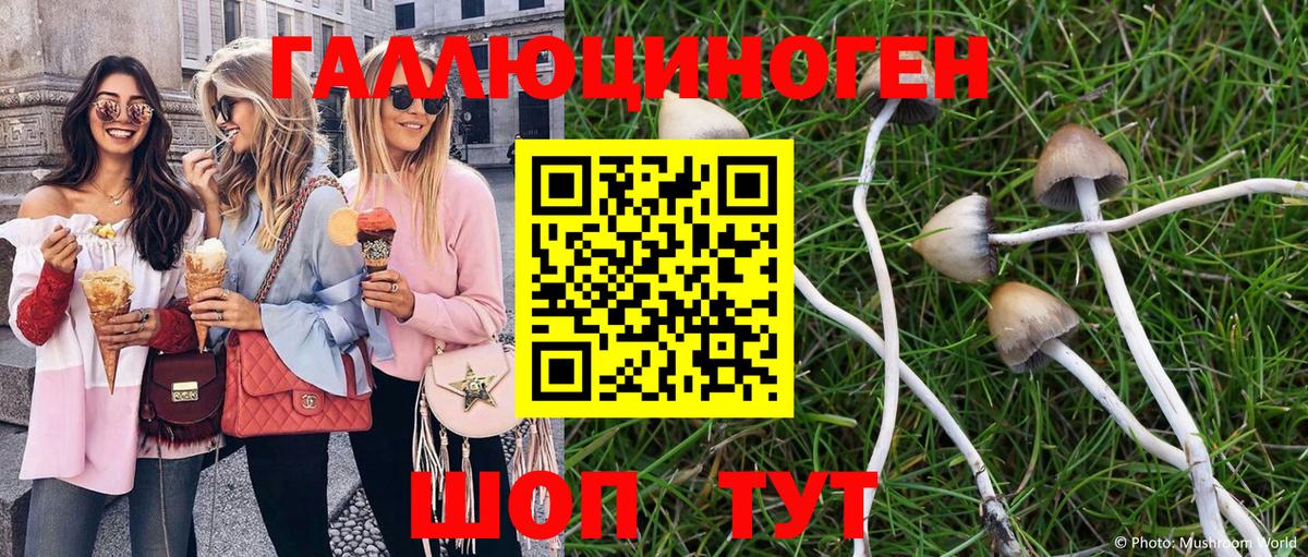 цена наркотик  Галлюциногенные грибы Psilocybine cubensis  Вход с VPN  Сибай 