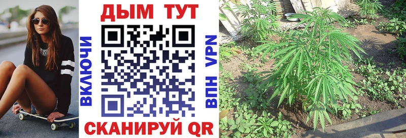 Марихуана SATIVA & INDICA  Сибай 